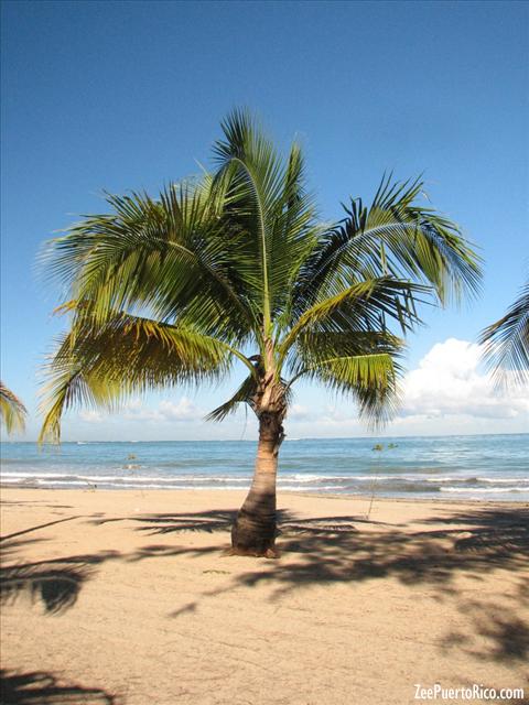 Balneario de Carolina - ZeePuertoRico.com